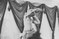 /album/galeria-de-fotos%3a-conven%c3%a7%c3%a3o-aziza/a0815-jpg/